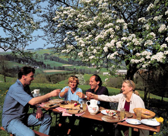 Datei:Jause - blühender Brinbaum.jpg