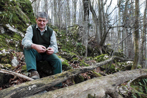 Datei:Lauburwald Scheikl.jpg