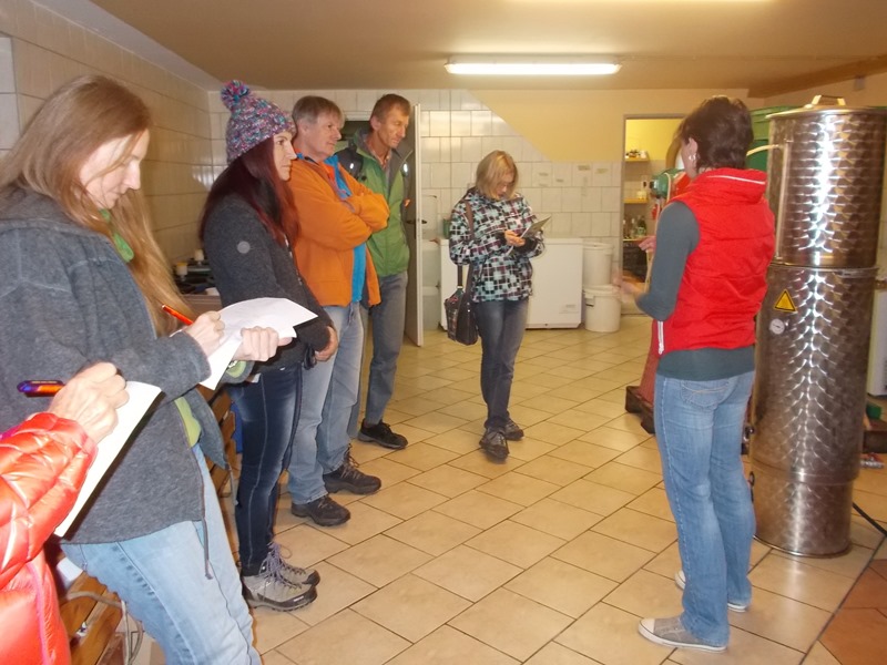 Datei:Exkursions Fuxsteiner.jpg