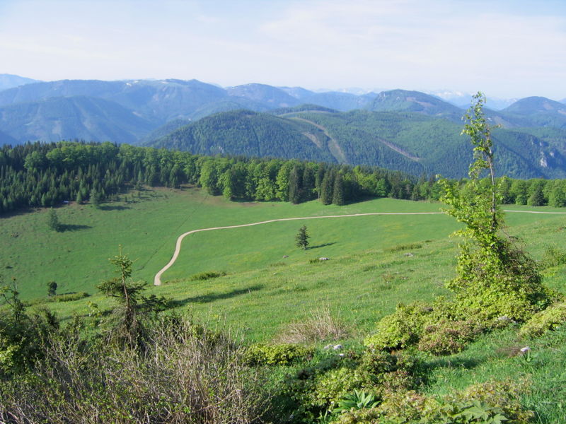 Datei:Frühling auf Eisenstein-Alm.jpg