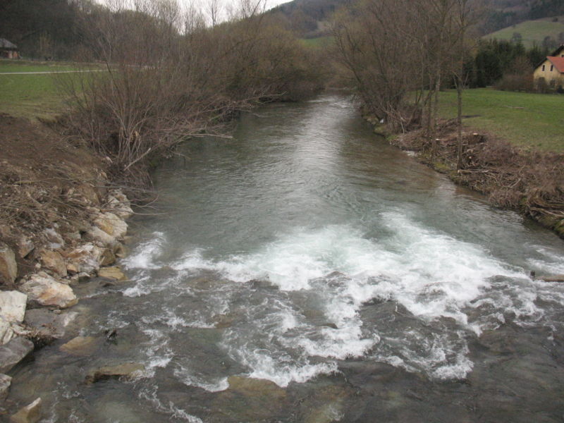 Datei:Pielach im März 96.JPG