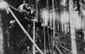 Holzriesse Holzknechte.jpg
