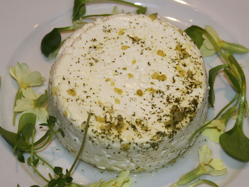 Datei:SK Kuhkäse beim FBuffz.jpg