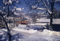 MZB Winter neuhauser.jpg