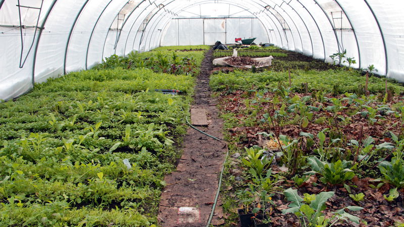 Datei:SG FT2 Innen -Dez.jpg