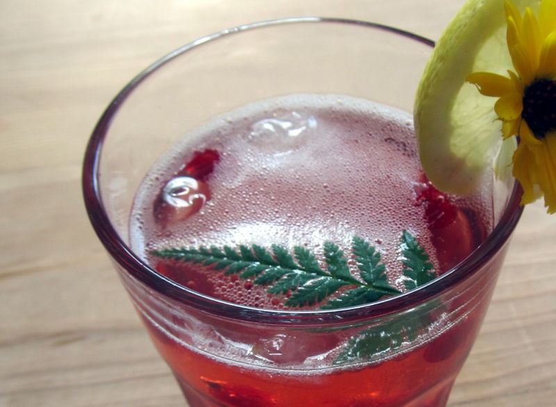 Datei:SH Fruchtdrink Dirndl Ribisl.jpg