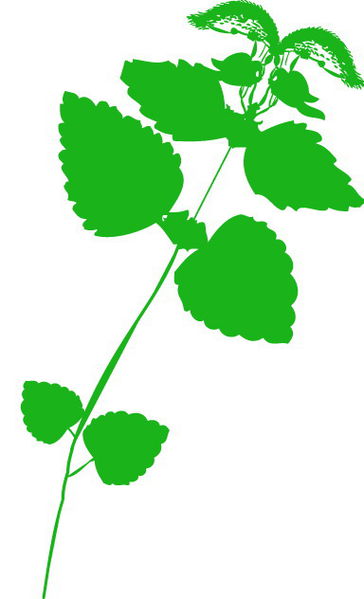 Datei:Gärten Logo Bildteil.jpg
