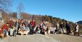 SD Hundesilvester 2012-1.jpg