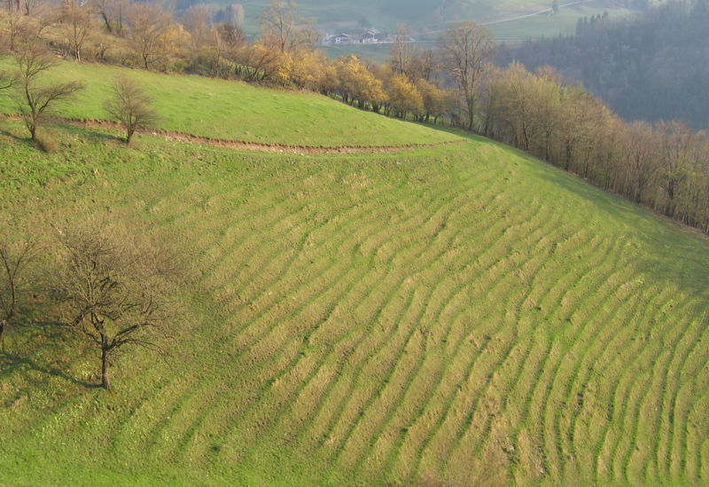 Datei:Viehwege Frühjahr Banz.jpg