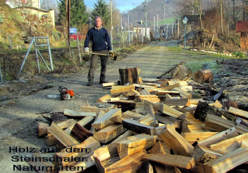 Datei:Konrad bei Holzarbeit.jpg