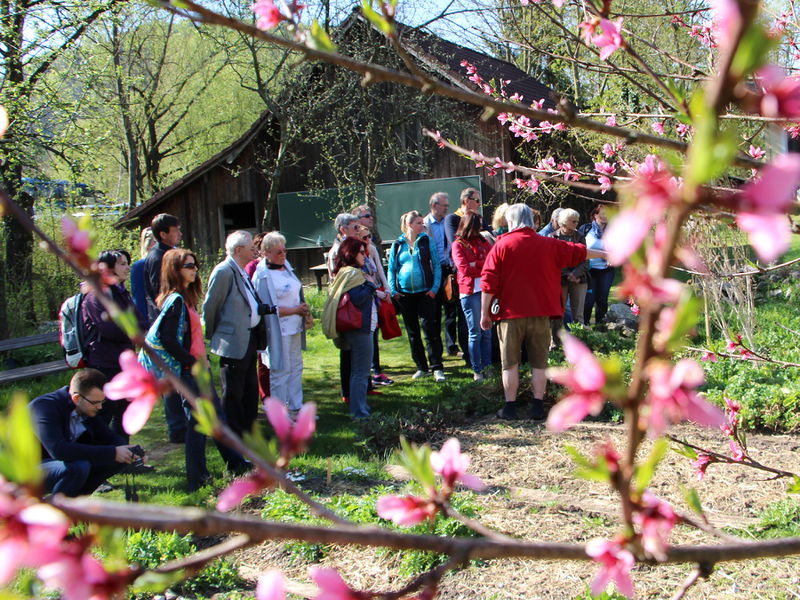 Datei:Frühlingsführung Steinschaler Gärten JW.JPG