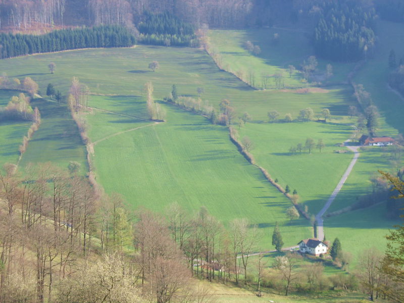 Datei:KL Frühling Tradogist1.jpg