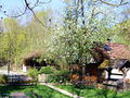 SH Troadkasten Brinbaumblüte.jpg