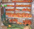 SG Teil Kürbislager 2012-4.jpg