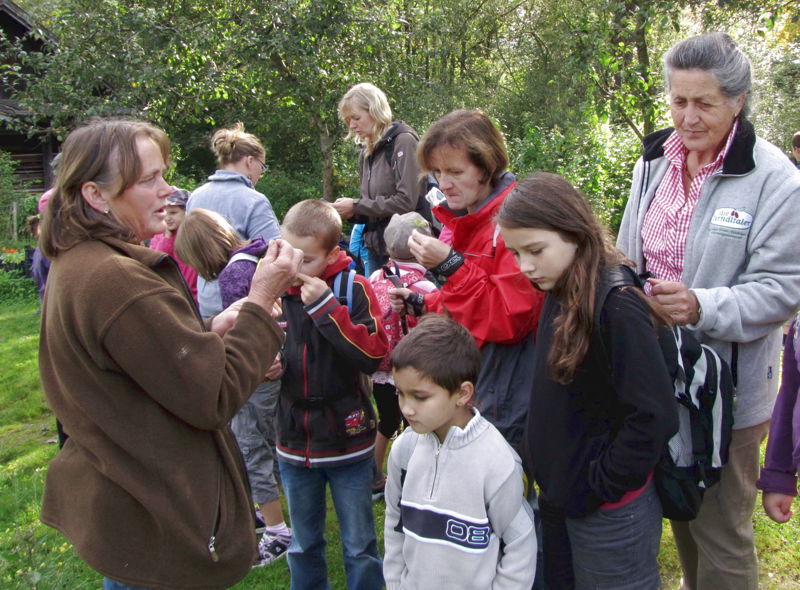 Datei:SG Volksschule Führung.jpg
