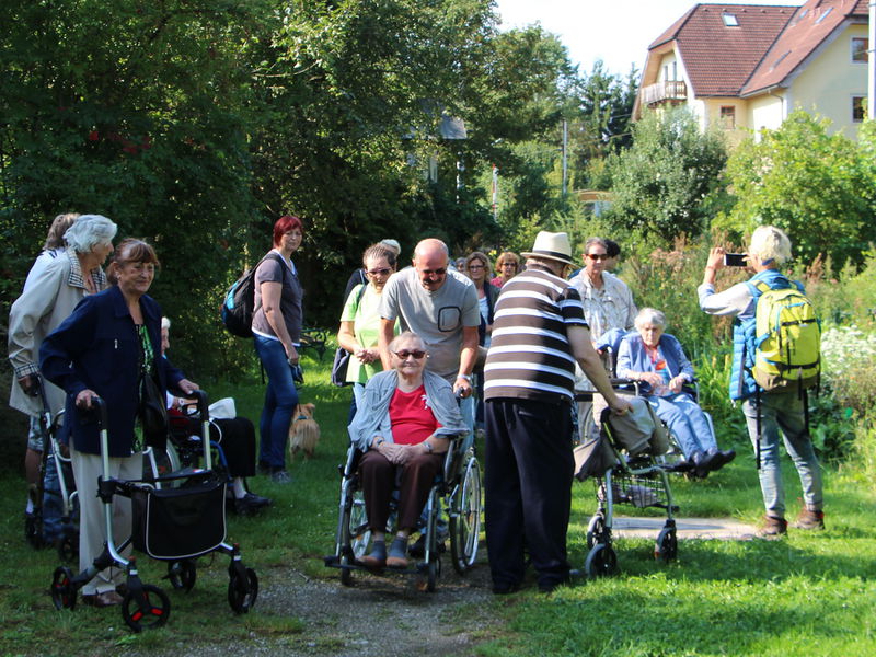 Datei:SG Gartenführung Rollstuhl.JPG