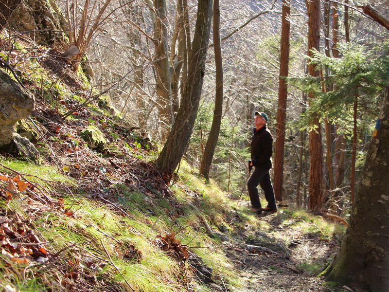 Datei:Steig unter Karlswarte.jpg