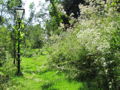 SG Südgarten Natur.jpg