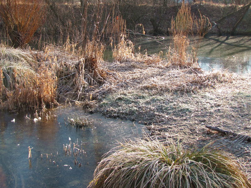 Datei:SG Prodgartenteiche Winter.jpg