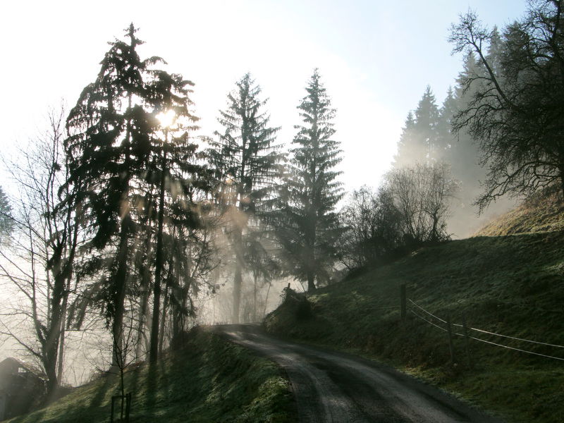 Datei:Nebel oberhalb Oachnerhof.JPG