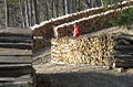 Brennholz Gasibühel.jpg