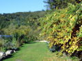 SG-Kiwiwand Herbst0.jpg