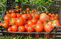 Vorschaubild der Version vom 4. Oktober 2009, 18:28 Uhr