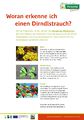 Vorschaubild der Version vom 29. Oktober 2012, 12:03 Uhr