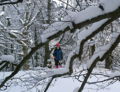 EST Winter Piesl.jpg