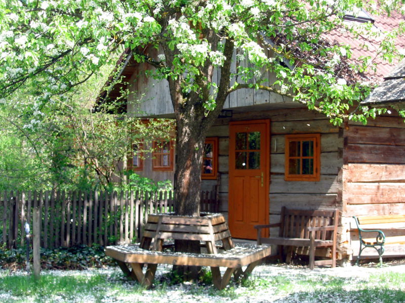 Datei:SH Z20 blühend Birnbaum.jpg