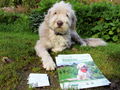 Paula wirbt mit Hundefolder.jpg