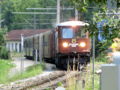 Ötscherbär-Station Steinschal.jpg