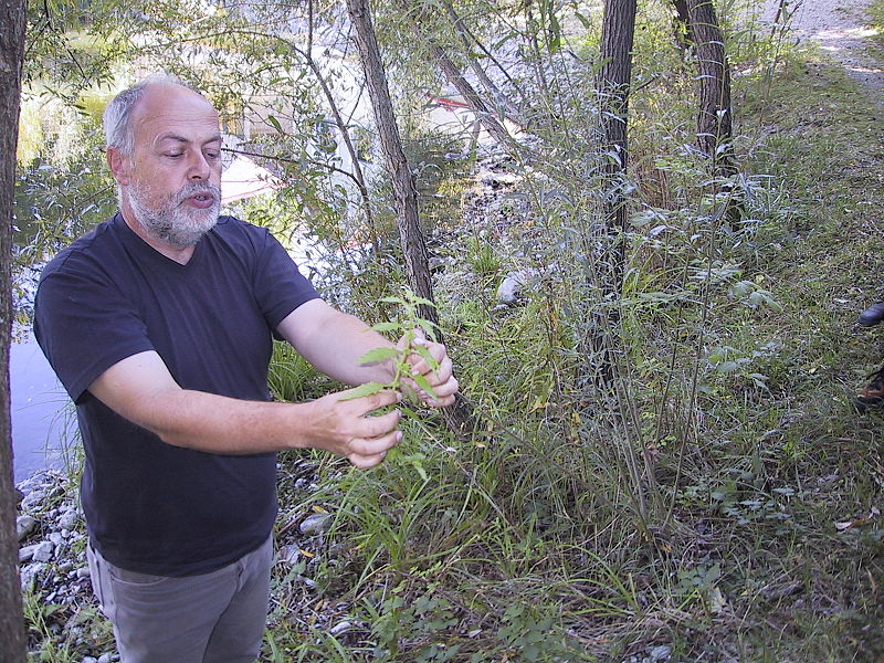 Datei:Schramayr, Georg.jpg