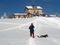 EST Schneeschuhe Hund Pieslin.jpg
