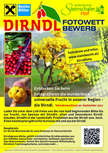 Datei:Dirndlfotowettbewerb Flyer.jpg