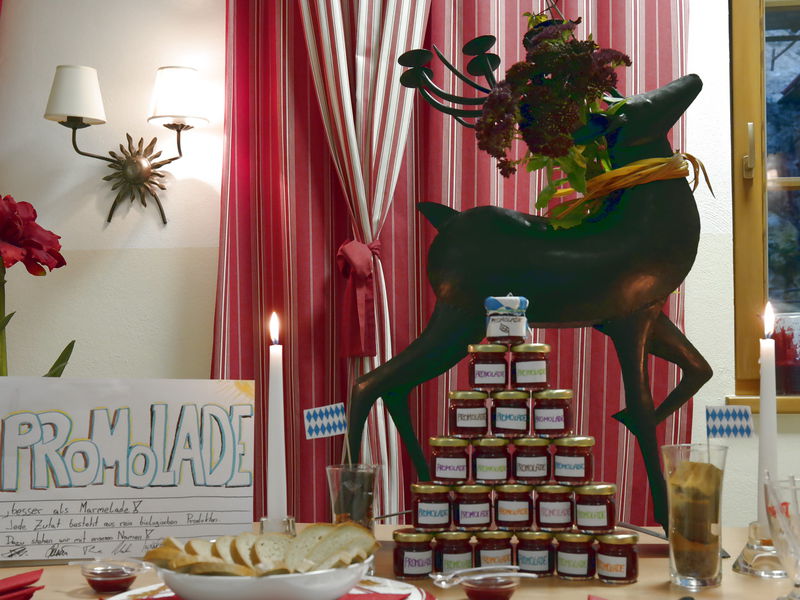 Datei:MChall Präsentation.jpg