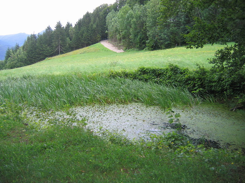 Datei:Träne bei der Luft.jpg