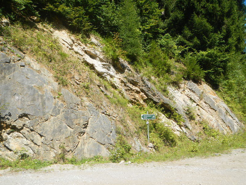 Datei:Geologischer Aufschluss Steinschaler Dörfl.JPG