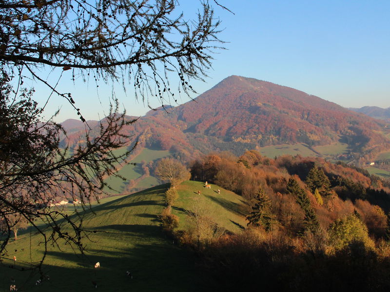 Datei:Herbstlicher Gaisbühel.jpg