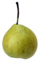 Landlbirne.jpg