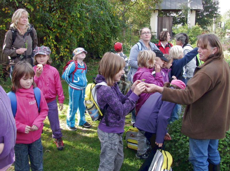 Datei:SG Volksschule-Tradigist.jpg
