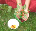 Gelbe rote Dirndl Hand.jpg
