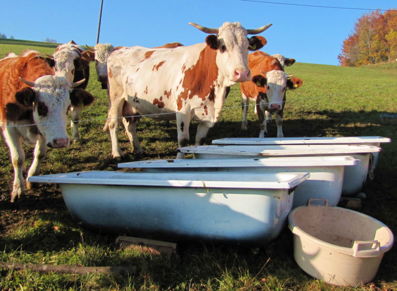 Datei:KL 4 Badewannen.jpg