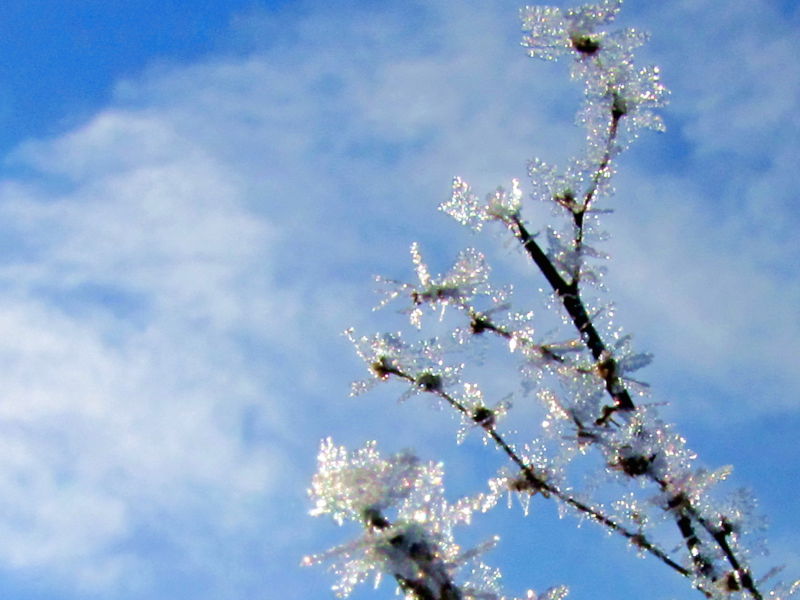 Datei:SG Schneekristalle1.jpg