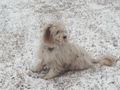 Jung-Paula-erster Schnee.jpg