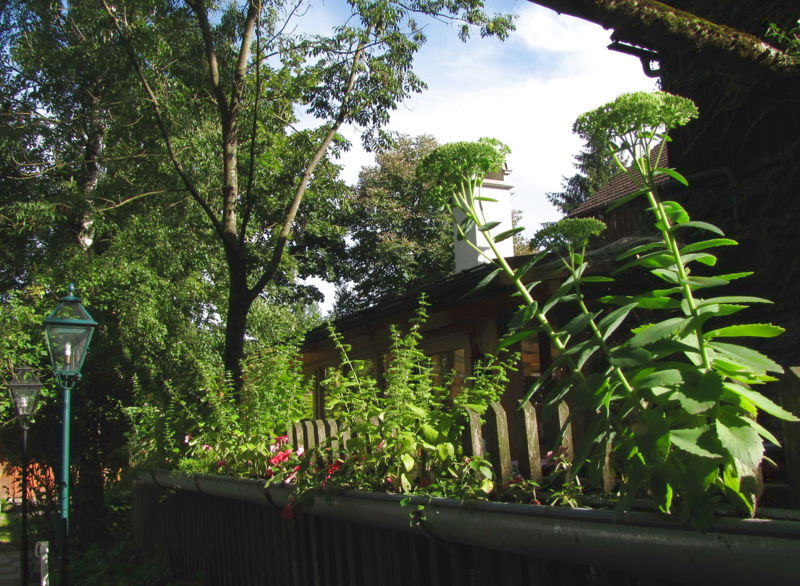 Datei:SH Terrassen Idyll.jpg