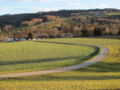 Vorschaubild der Version vom 29. November 2011, 09:25 Uhr
