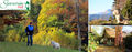 Hund - Herbst Header.jpg