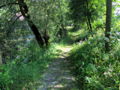 ST Teichweg2.jpg