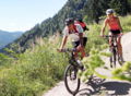 MTB WF 2 Räder.jpg